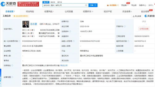 吉利科技重慶公司注銷始末 成立不足一年，新能源原動設備銷售業務何去何從？